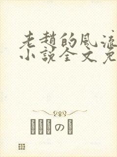 老赵的风流人生小说全文免费阅读