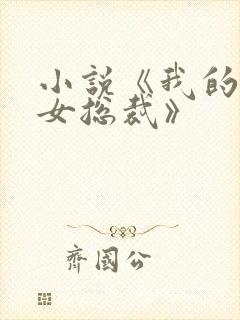 小说《我的高冷女总裁》