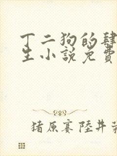 丁二狗的肆意人生小说免费1