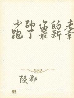 少帅你的老婆又跑了最新章节免费阅读