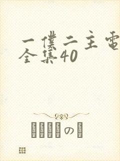 一仆二主电视剧全集40封面