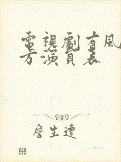 电视剧有风的地方演员表封面