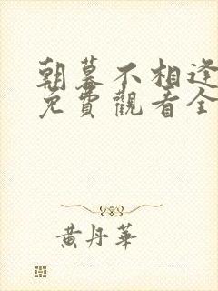 朝暮不相逢短剧免费观看全集封面