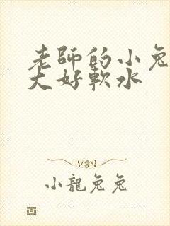 老师的小兔子好大好软水