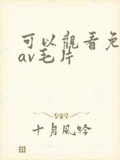 可以观看免费的av毛片