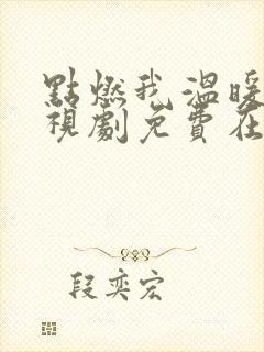 点燃我温暖你电视剧免费在线观看