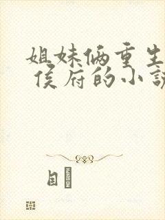 姐妹俩重生换嫁 侯府的小说