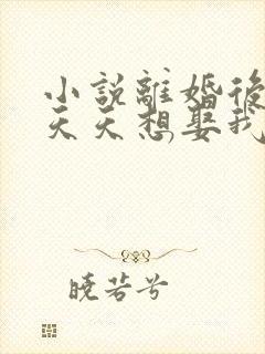 小说离婚后霸总天天想娶我免费阅读