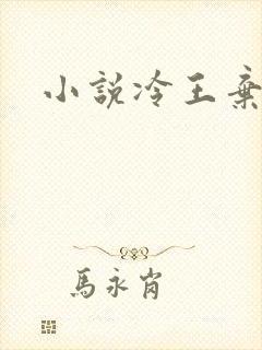 小说冷王弃妃