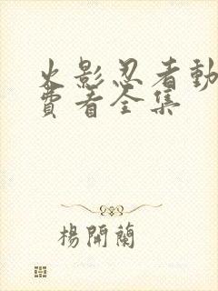 火影忍者动漫免费看全集封面