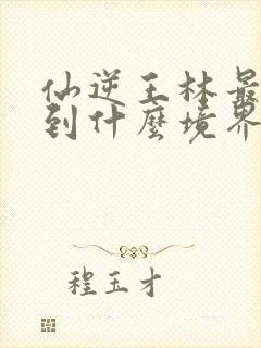 仙逆王林最终达到什么境界