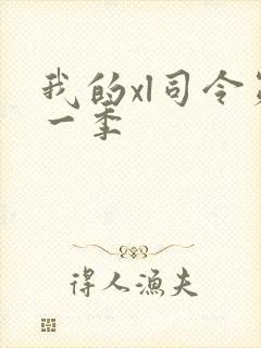 我的xl司令第一季