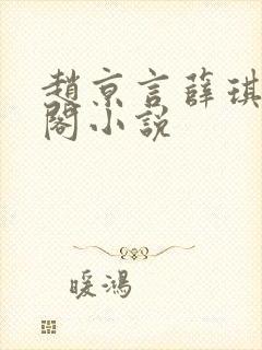 赵京言薛琪笔趣阁小说