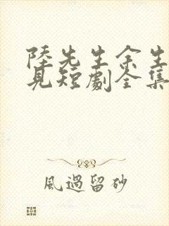 陆先生余生不再见短剧全集封面