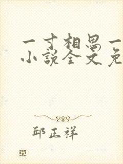 一寸相思一寸灰小说全文免费阅读