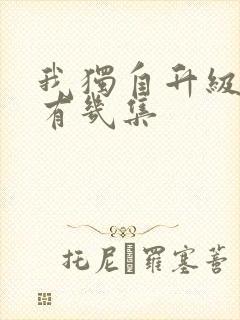 我独自升级动漫有几集