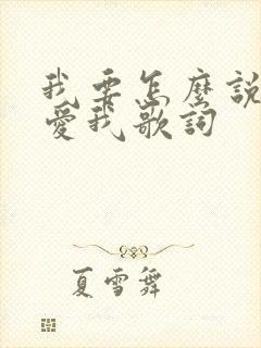 我要怎么说你才爱我歌词封面