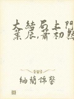 大结局上门龙婿叶辰,萧初然章节