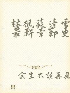 林枫苏清雪小说最新章节更新时间表封面