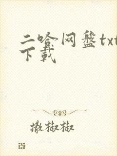 二哈网盘txt下载