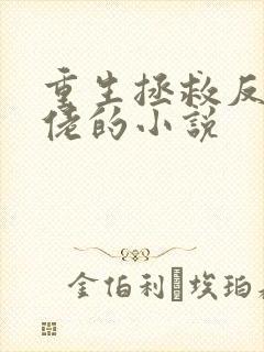 重生拯救反派大佬的小说