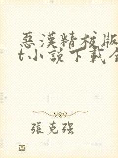 恶汉精校版txt小说下载全本封面