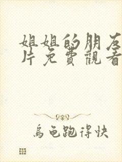 姐姐的朋友伦理片免费观看