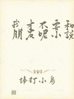 我才不要和你做朋友呢小说原著