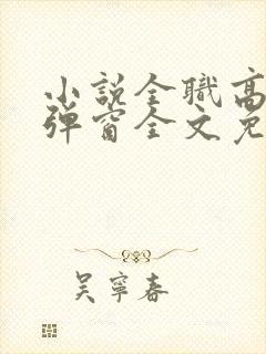 小说全职高手无弹窗全文免费阅读封面