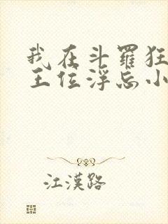 我在斗罗狂卷神王位浮忘小生