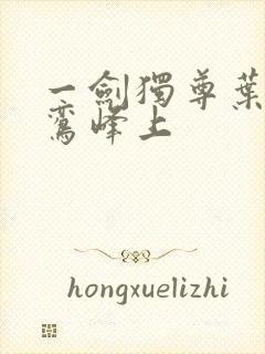 一剑独尊叶玄青鸾峰上封面