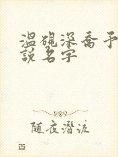 温砚深乔予安小说名字封面