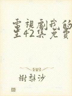 电视剧我的前半生42集免费观看,前半生封面