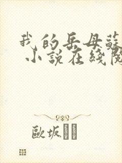 我的岳母苏沛真 小说在线阅读封面