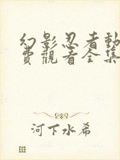 幻影忍者动漫免费观看全集完整版