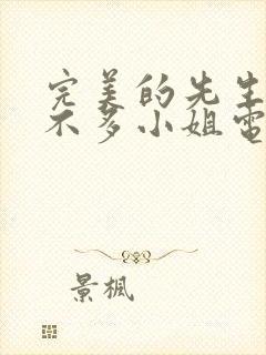 完美的先生和差不多小姐电视剧免费观看