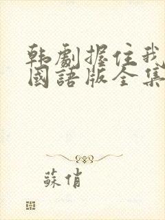 韩剧握住我的手国语版全集播放