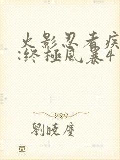 火影忍者疾风传:终极风暴4封面