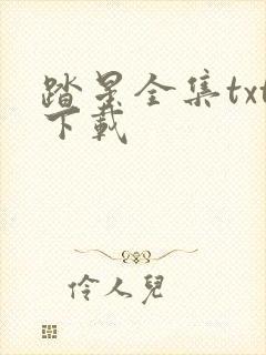 踏星全集txt下载
