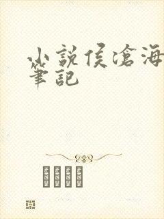 小说侯沧海商路笔记