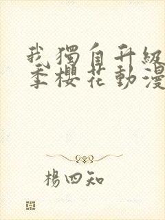 我独自升级第一季樱花动漫封面