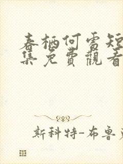 春栖何处短剧全集免费观看