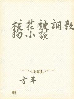 校花被调教成母狗小说封面