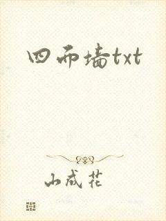 四面墙txt