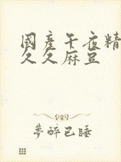 国产午夜精品久久久麻豆