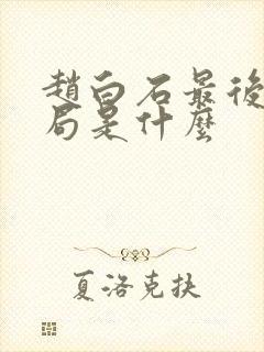 赵白石最后的结局是什么封面