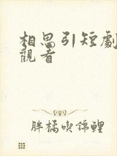 相思引短剧免费观看