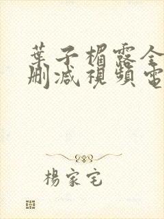 叶子楣露全乳无删减视频电影封面