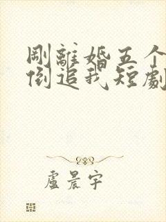 刚离婚五个女神倒追我短剧封面