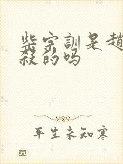 柴宗训是赵匡胤杀的吗